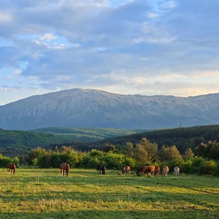 Villa Vikendica Crna Stina Livno Esterno foto