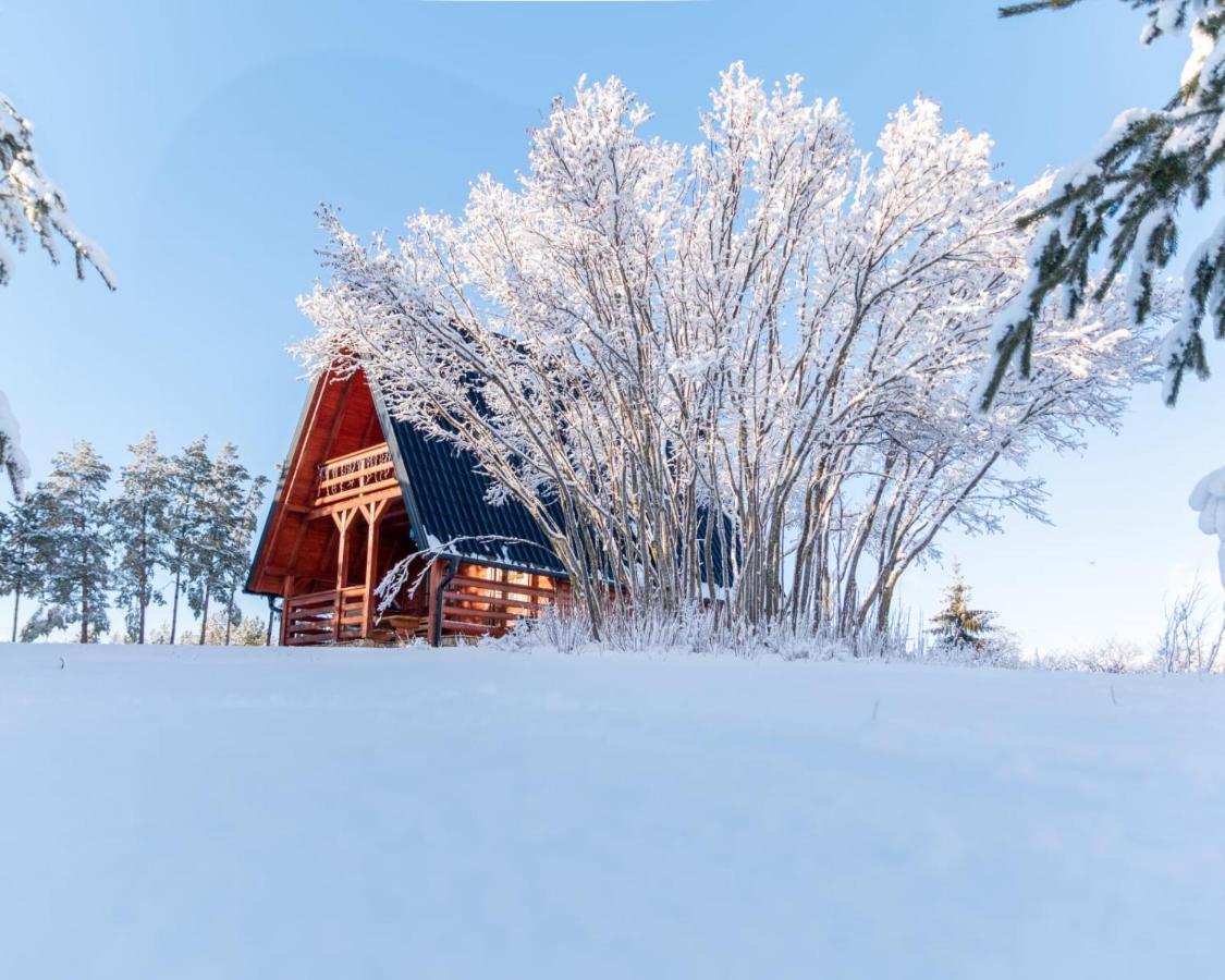 Villa Vikendica Crna Stina Livno Esterno foto