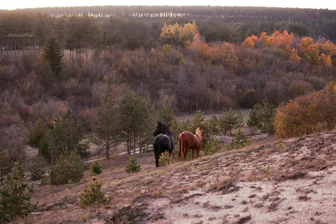 Villa Vikendica Crna Stina Livno Esterno foto