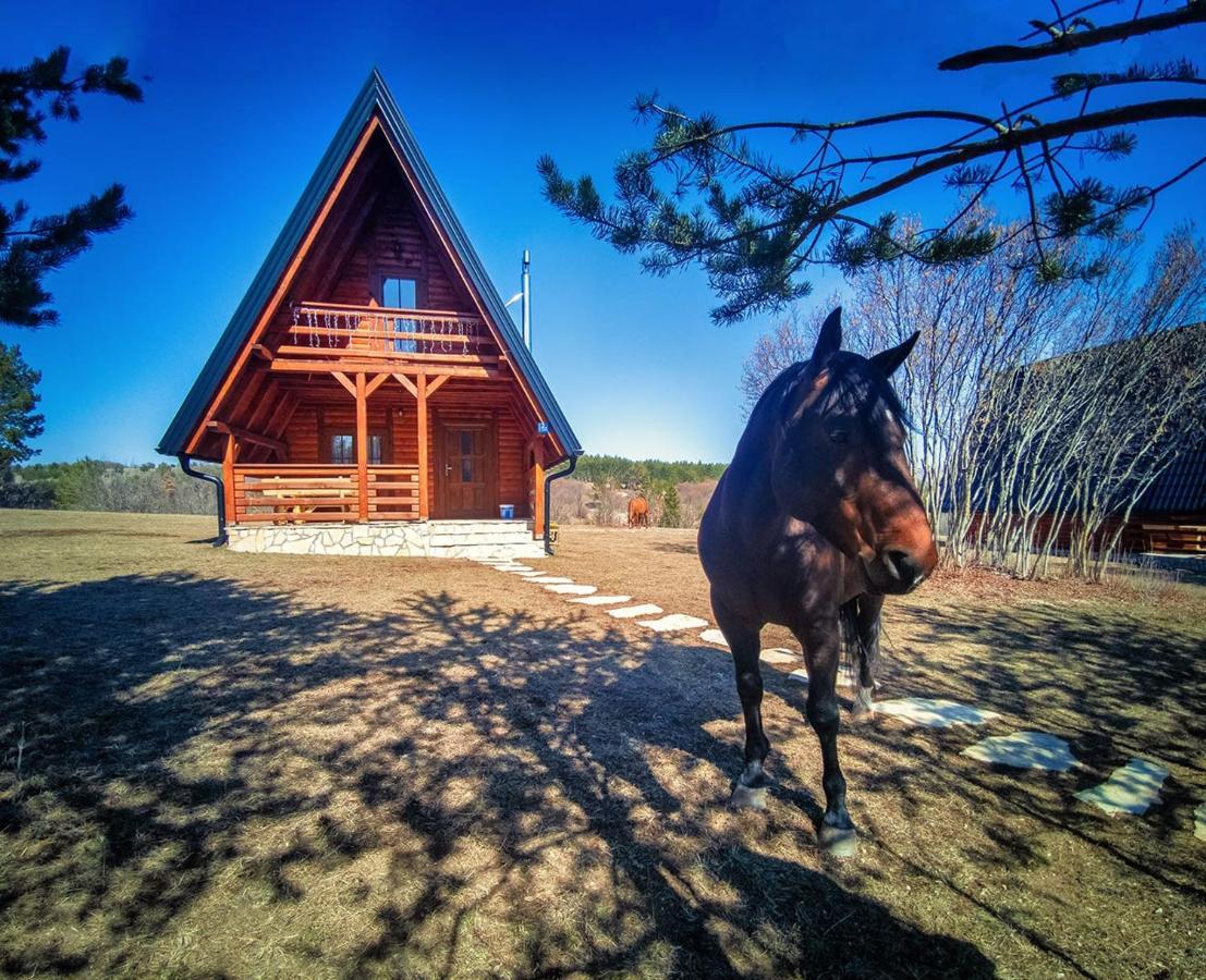 Villa Vikendica Crna Stina Livno Esterno foto