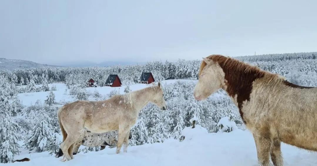 Villa Vikendica Crna Stina Livno Esterno foto