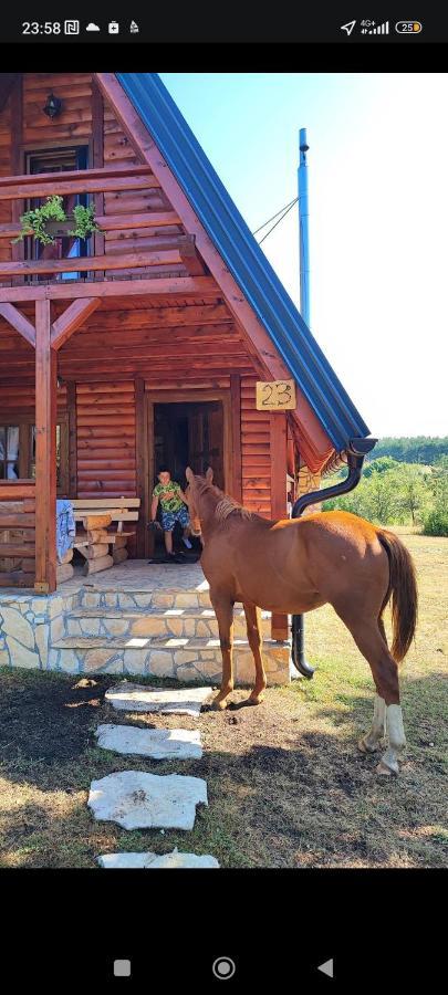 Villa Vikendica Crna Stina Livno Esterno foto