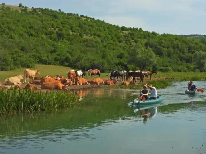 Villa Vikendica Crna Stina Livno Esterno foto