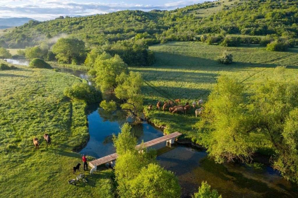 Villa Vikendica Crna Stina Livno Esterno foto