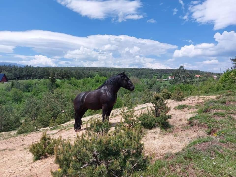 Villa Vikendica Crna Stina Livno Esterno foto