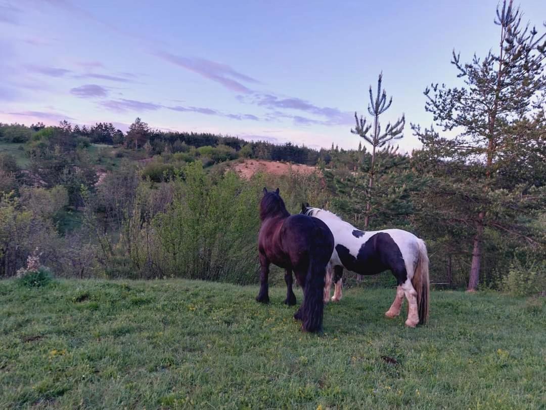 Villa Vikendica Crna Stina Livno Esterno foto
